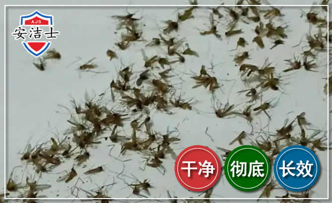 衢州苍蝇防治-灭蝇