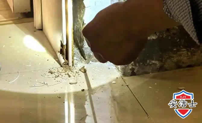 衢州房屋建筑防治白蚁