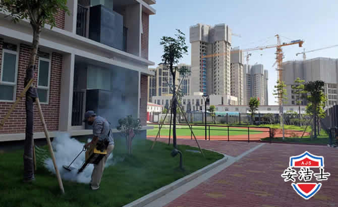 衢州工厂工地除白蚁