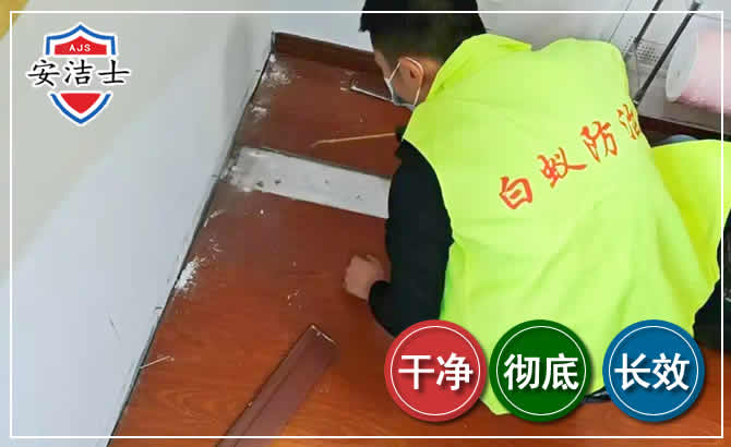 衢州除四害现场