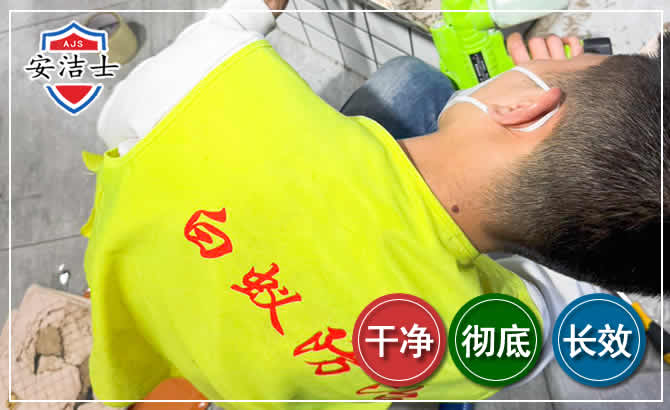 衢州白蚁根治现场